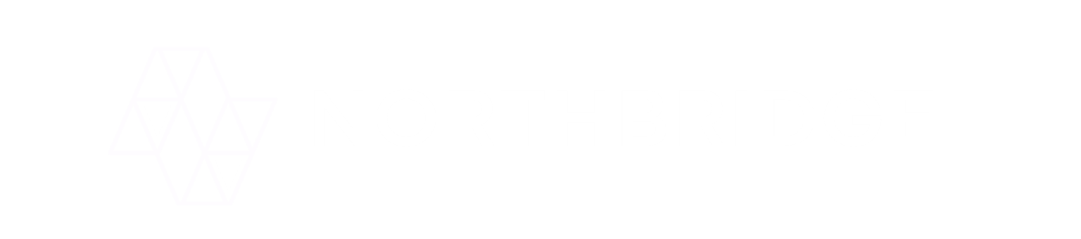 Data Protection And Authentication Risks NSW Government AI Data Breach: AI Risk | Northbridge