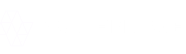 NNSLogo_HORZ_ALLWHITE